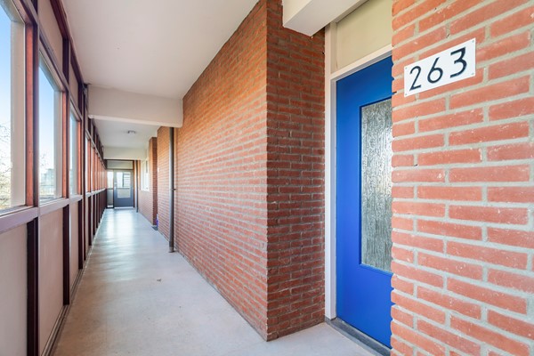 Burgemeester de Raadtsingel 263-7.jpg